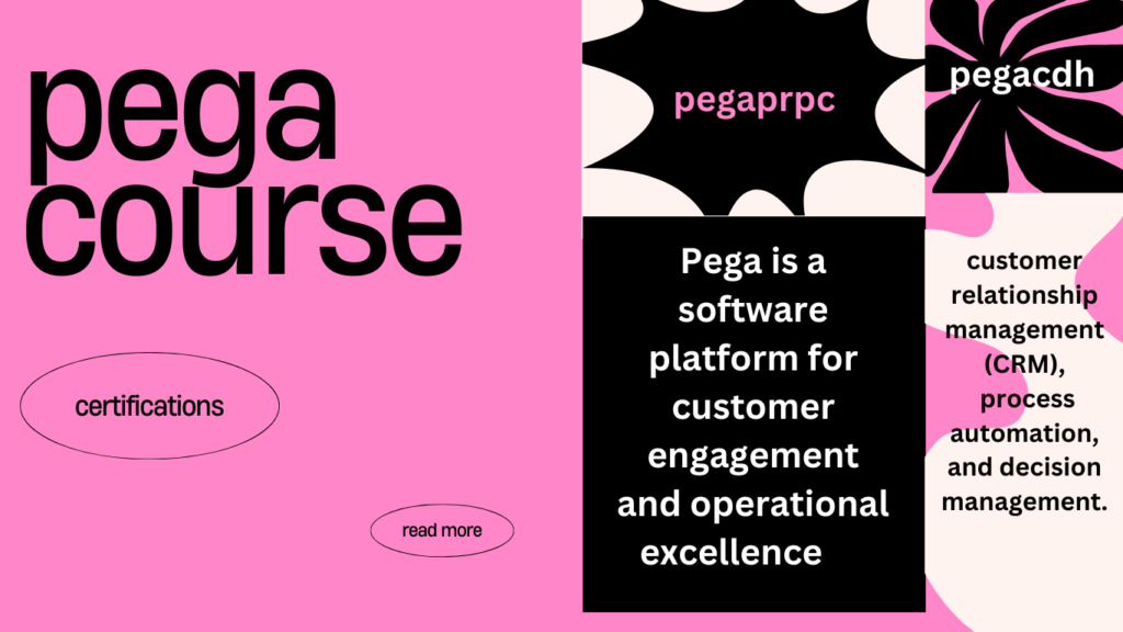 What is the Pega Training?